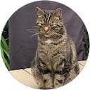 Yoran profile picture